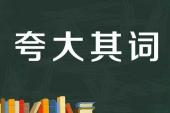 用“夸大其词”造句