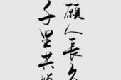 用“千里共婵娟”造句
