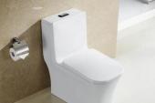 用“坐便器”造句