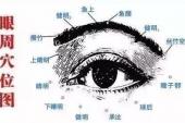 用“眼部”造句